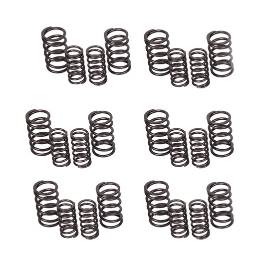 Jaguar XK XKE Engine Valve Spring Set, Inner & Outer VSP480