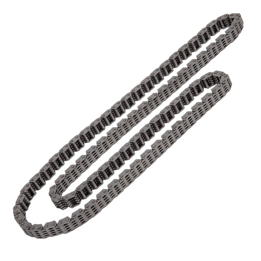 V8 Primary Timing Chain, V8 Primary Timing Chain